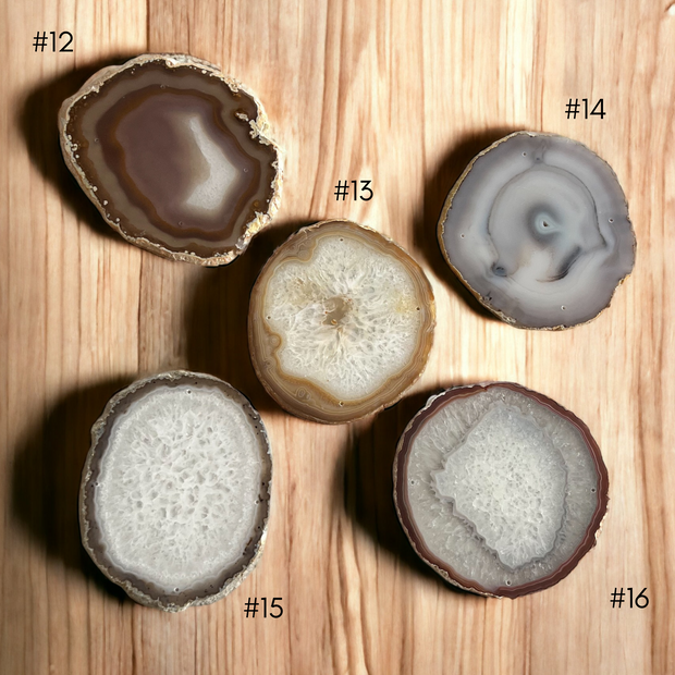 Vivi Wood Agate Wall Hanging | Choose Your Agate Slice - Mod North & Co.