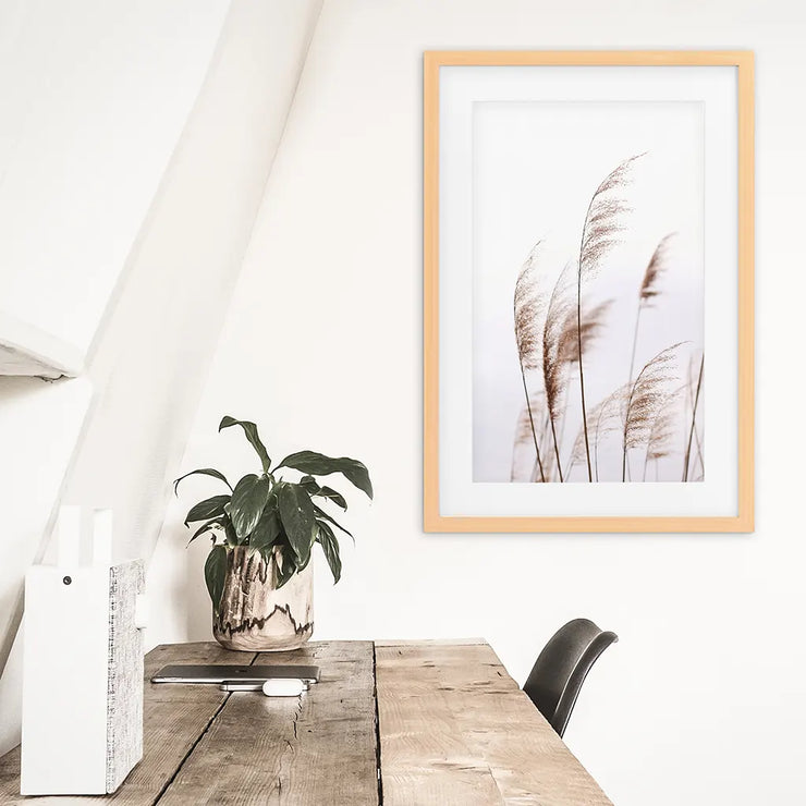 Beige Dried Grass Print. Summer Field