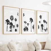 Black White Palm Trees Triptych