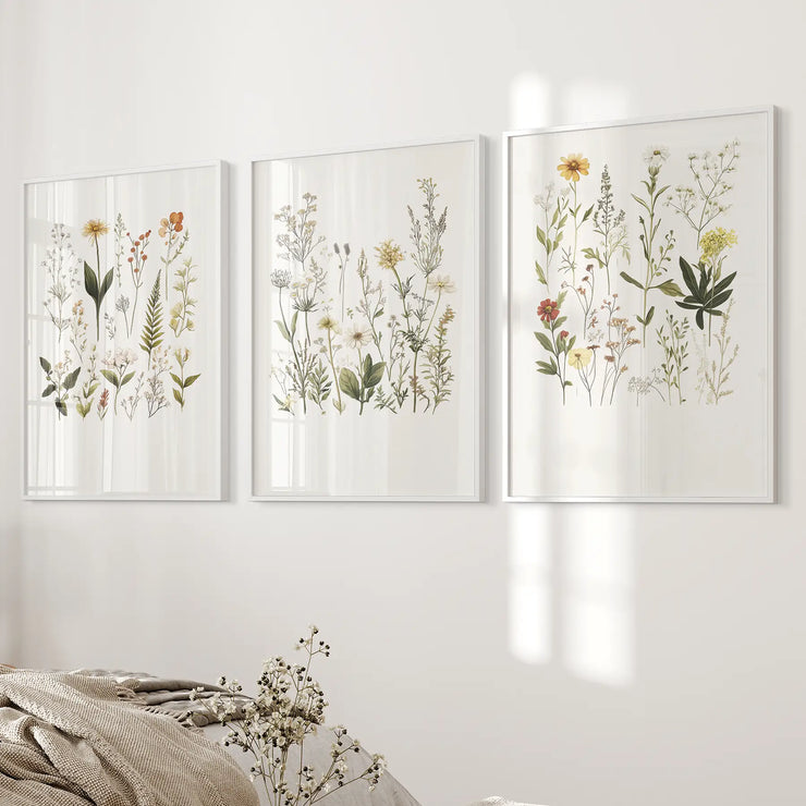 Watercolor Set of 3. Colorful Wildflower Prints
