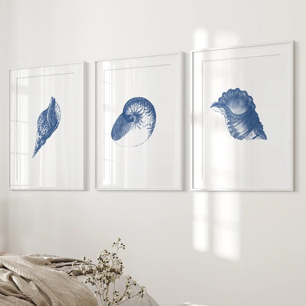 Ocean Shell Sea Theme Posters. Navy Blue Vintage Art Decor