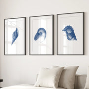 Ocean Shell Sea Theme Posters. Navy Blue Vintage Art Decor