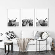 Black White Highland Cow Photo. 3 Piece Wall Art