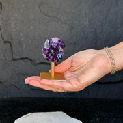 Custom order Amethysts on Stand