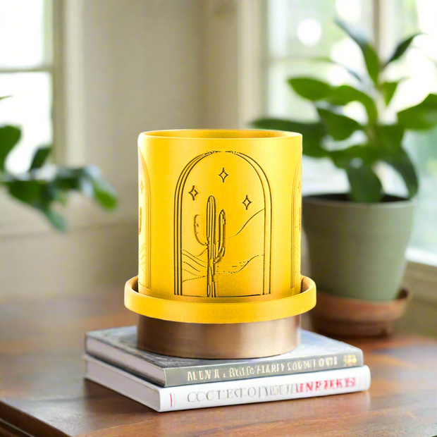 Cactus Planter