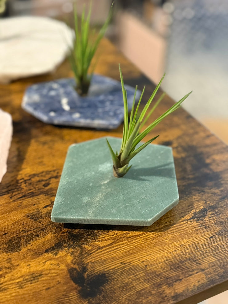 Quartz Crystal Air Plant Holder | Live Tillandsia Included