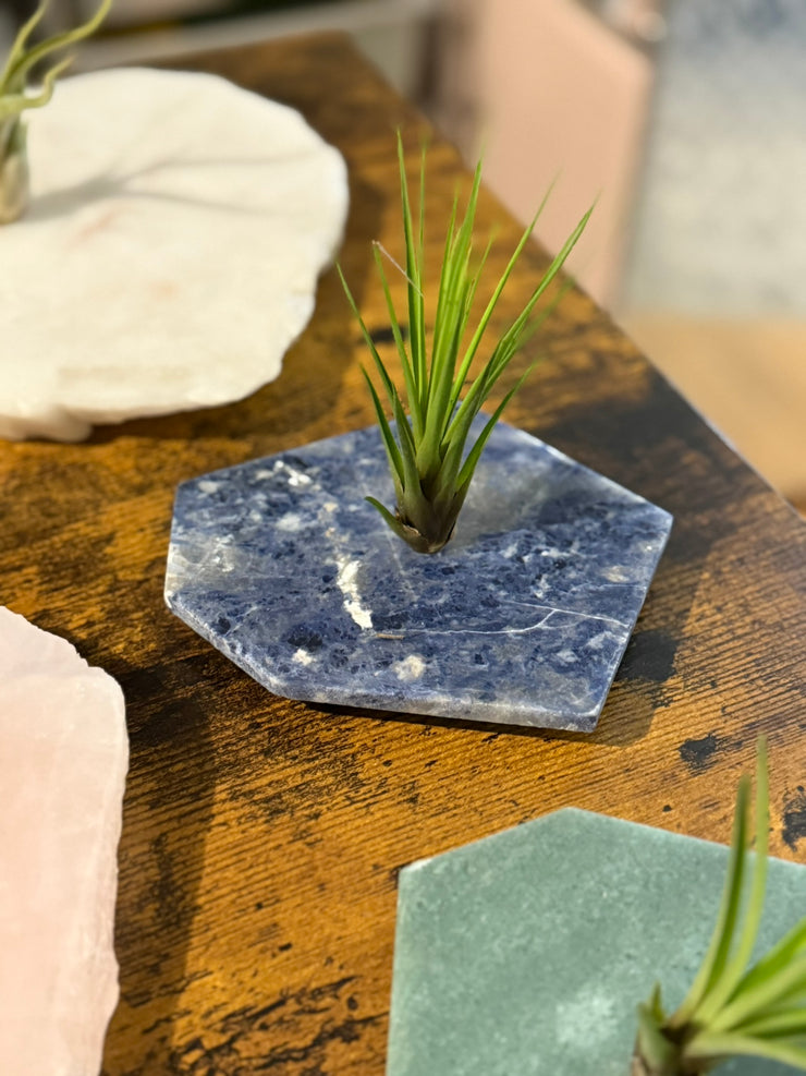 Quartz Crystal Air Plant Holder | Live Tillandsia Included