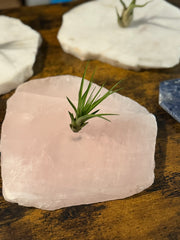 Quartz Crystal Air Plant Holder | Live Tillandsia Included
