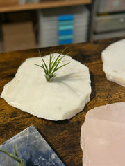 Quartz Crystal Air Plant Holder | Live Tillandsia Included