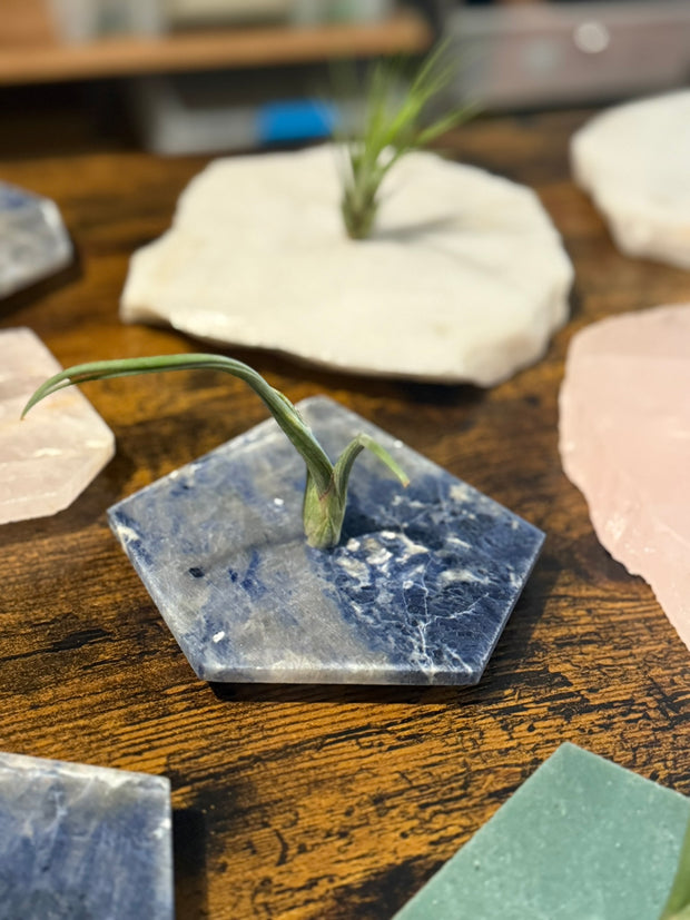 Quartz Crystal Air Plant Holder | Live Tillandsia Included