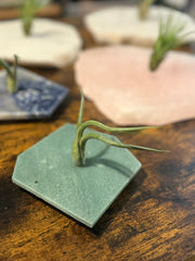 Quartz Crystal Air Plant Holder | Live Tillandsia Included