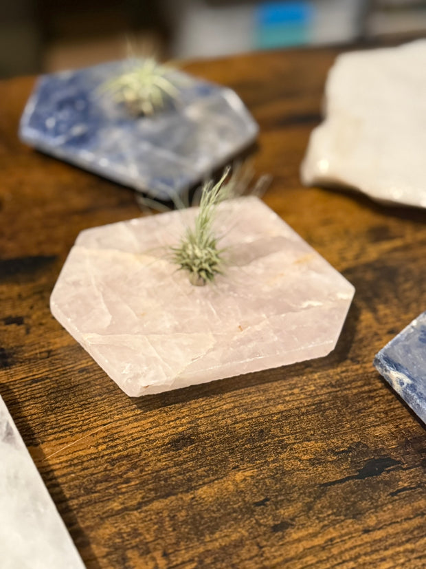 Quartz Crystal Air Plant Holder | Live Tillandsia Included