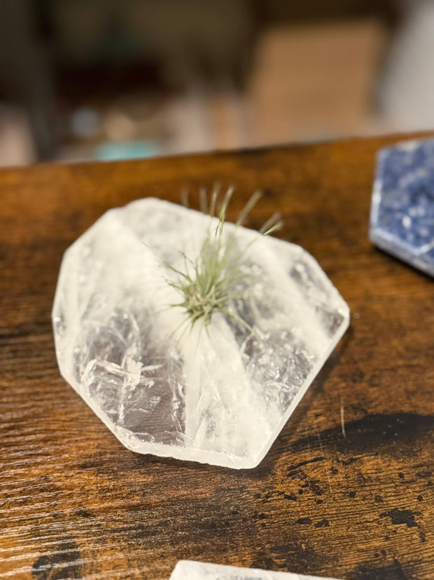 Quartz Crystal Air Plant Holder | Live Tillandsia Included
