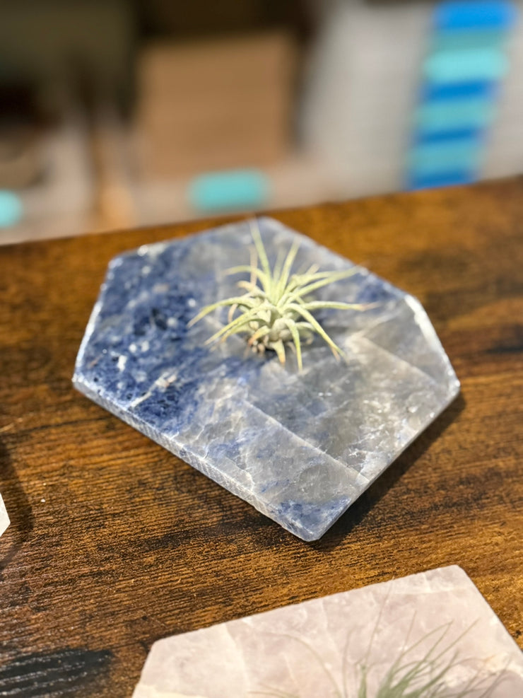 Quartz Crystal Air Plant Holder | Live Tillandsia Included