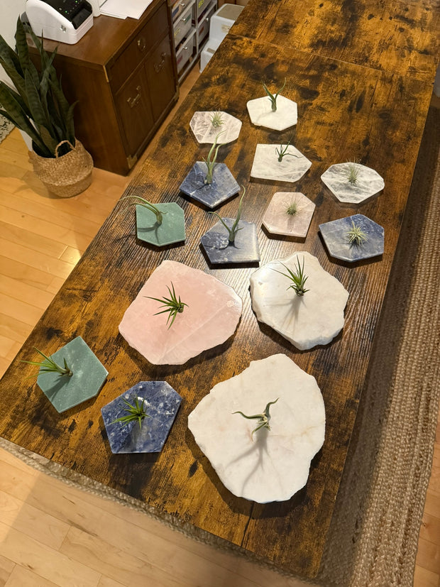 Quartz Crystal Air Plant Holder | Live Tillandsia Included