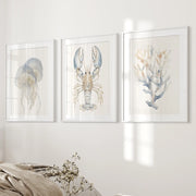 Ocean Animal Prints. Jellyfish, Lobster, Corals Wall Art