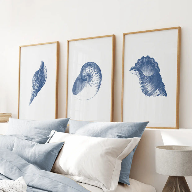 Ocean Shell Sea Theme Posters. Navy Blue Vintage Art Decor