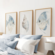 Trendy Nautical Wall Art Set of 3. Seashell and Fishes Posters