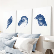 Ocean Shell Sea Theme Posters. Navy Blue Vintage Art Decor