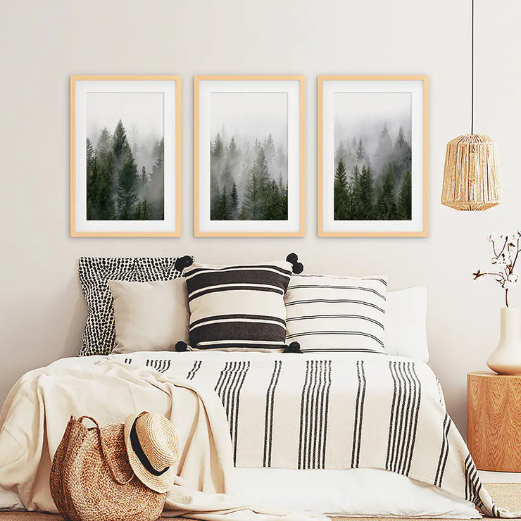 Green Pine Tree Forest. Foggy Nature Wall Art Prints