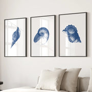 Ocean Shell Sea Theme Posters. Navy Blue Vintage Art Decor