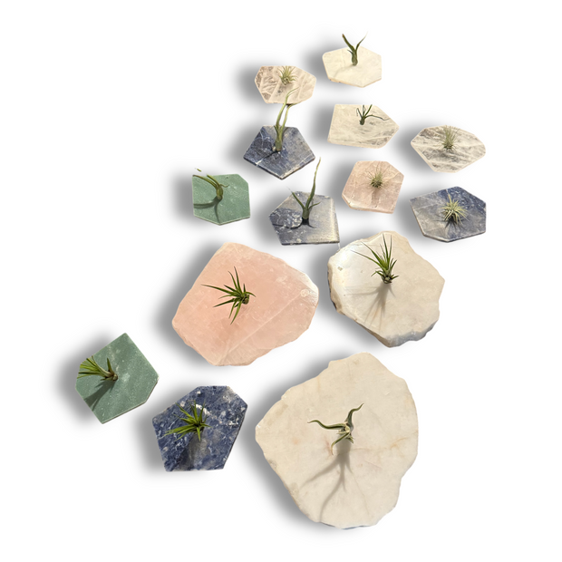 Quartz Crystal Air Plant Holder | Live Tillandsia Included