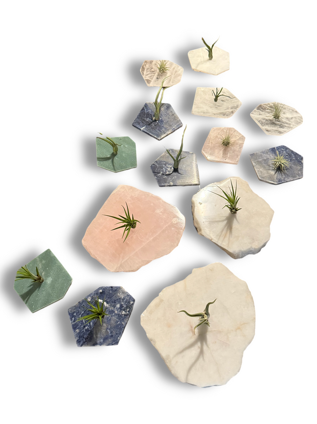Quartz Crystal Air Plant Holder | Live Tillandsia Included