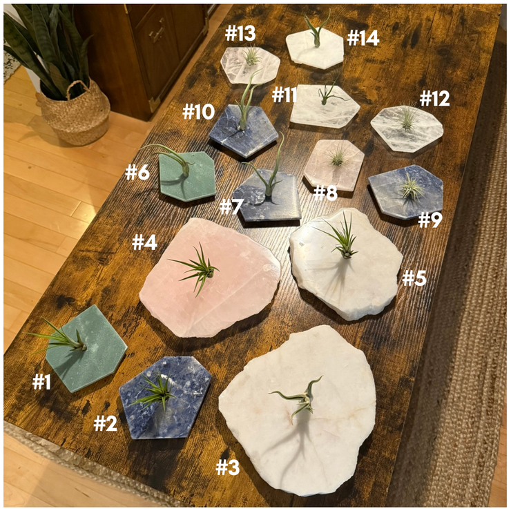 Quartz Crystal Air Plant Holder | Live Tillandsia Included