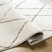 Keone Area Rug