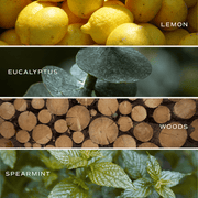 Stress Relief 4.6 oz Bath Bomb