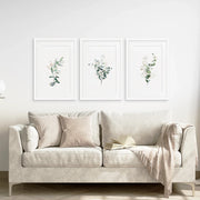 Gold & Green Eucalyptus Wall Art Set of 3
