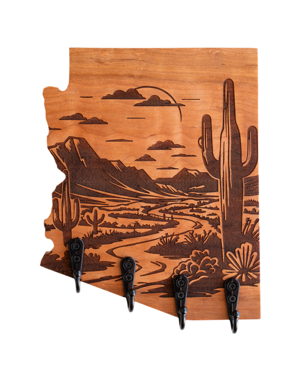 Sonoran Desert 09 Arizona Wall Hanger