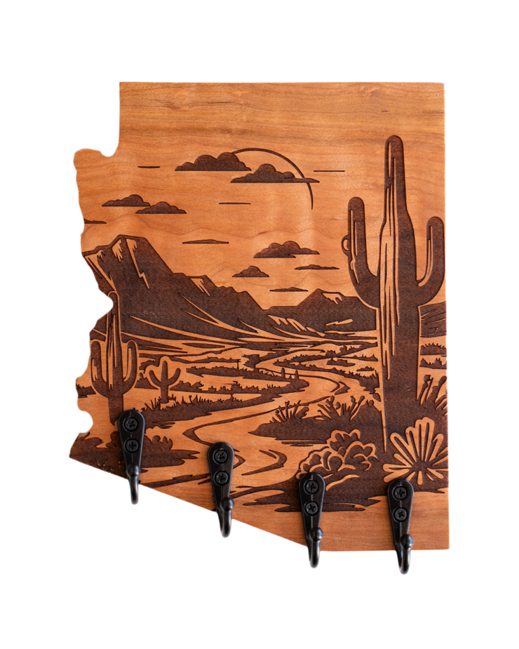 Sonoran Desert 09 Arizona Wall Hanger
