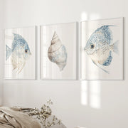 Trendy Nautical Wall Art Set of 3. Seashell and Fishes Posters