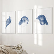 Ocean Shell Sea Theme Posters. Navy Blue Vintage Art Decor