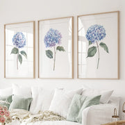 Light Blue Hydrangea Flower Wall Art Poster Set