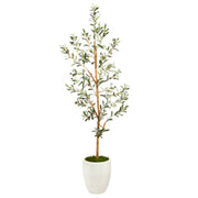 5.5’ Olive Artificial Tree in White Planter