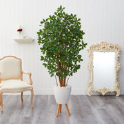 6’ Black Olive Artificial Tree in White Planter with Stand