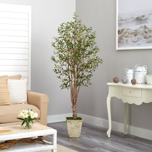 6.5’ Olive Artificial Tree in Country White Planter