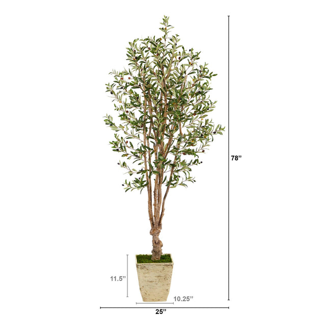 6.5’ Olive Artificial Tree in Country White Planter
