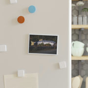 Fish Inn Magnet