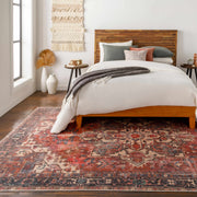 Bondville Washable Area Rug - Clearance