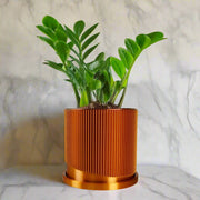Mid-Century Ribbed Planter with Drainage and Saucer in Multiple Colors, 3D Printed Planter with Unique Modern Design, Lightweight, Wave