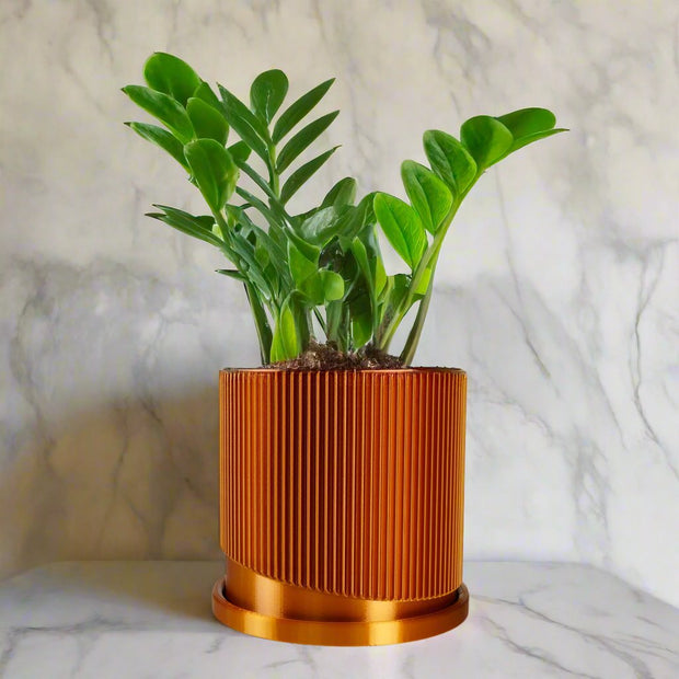 Mid-Century Ribbed Planter with Drainage and Saucer in Multiple Colors, 3D Printed Planter with Unique Modern Design, Lightweight, Wave