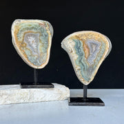 Cutest Crystal Gift, Jasper SET on Stand, Colorful Jasper Slice with metallic base, home decoration, mineral formations for collectors