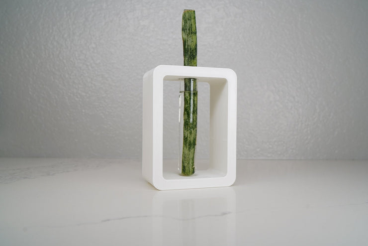 Rectangle Propagation Station