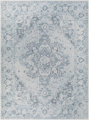 Ankti Aqua Washable Area Rug - Clearance