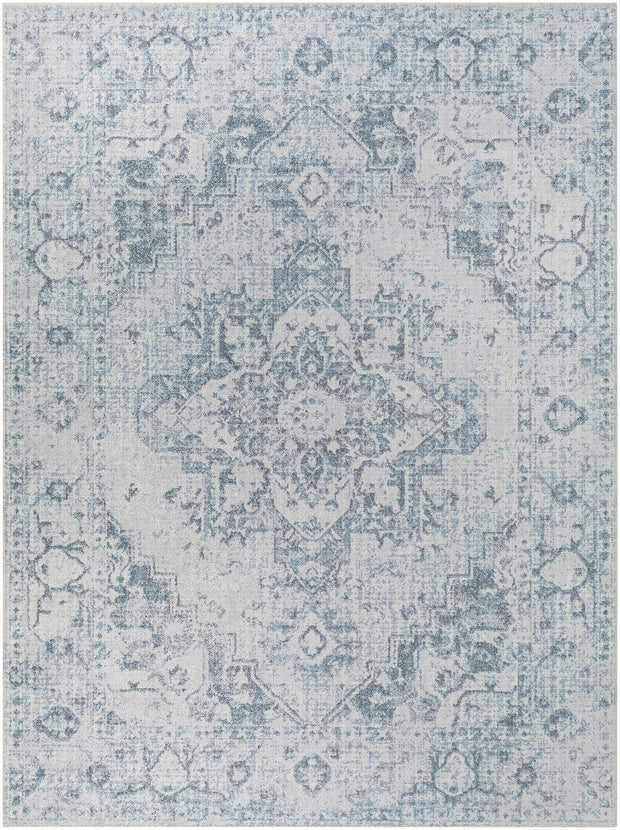 Ankti Aqua Washable Area Rug - Clearance