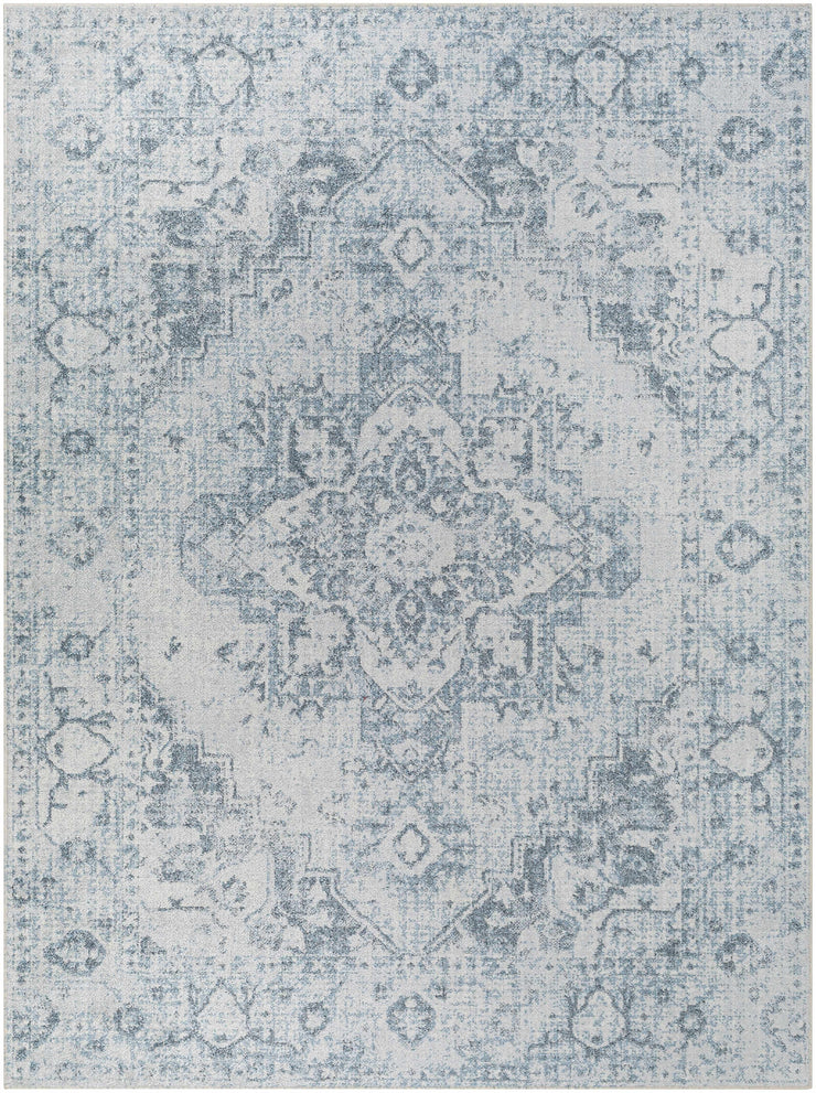 Ankti Aqua Washable Area Rug - Clearance