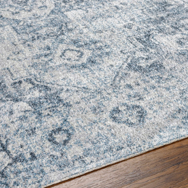 Ankti Aqua Washable Area Rug - Clearance